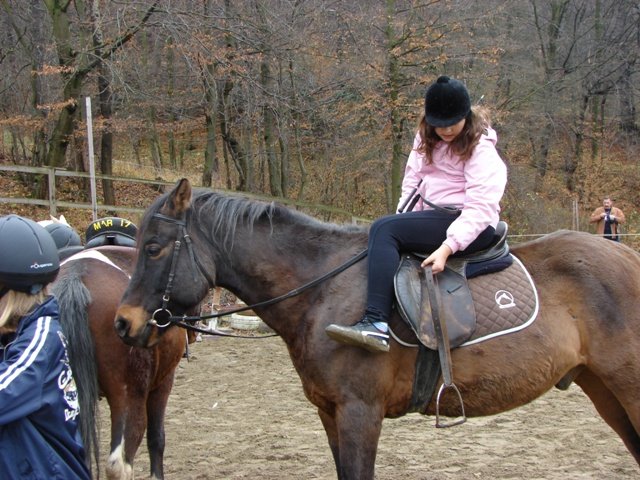 Hubertus 2010